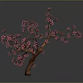 Beautiful Tree With Pink Flowers And Brown Trunk On Gray Background With Reflection