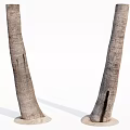 Stone and Wood Decorative Trunks with Natural Texture and Solid Stone Bases