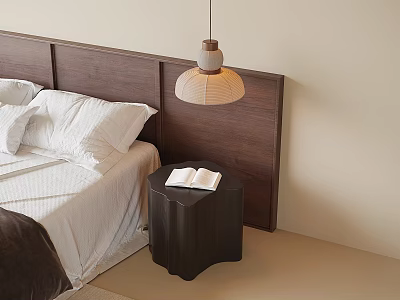 Light Shade Dark Base Pendant Light in Bedroom with Wooden Headboard Open Book on Nightstand 3d model