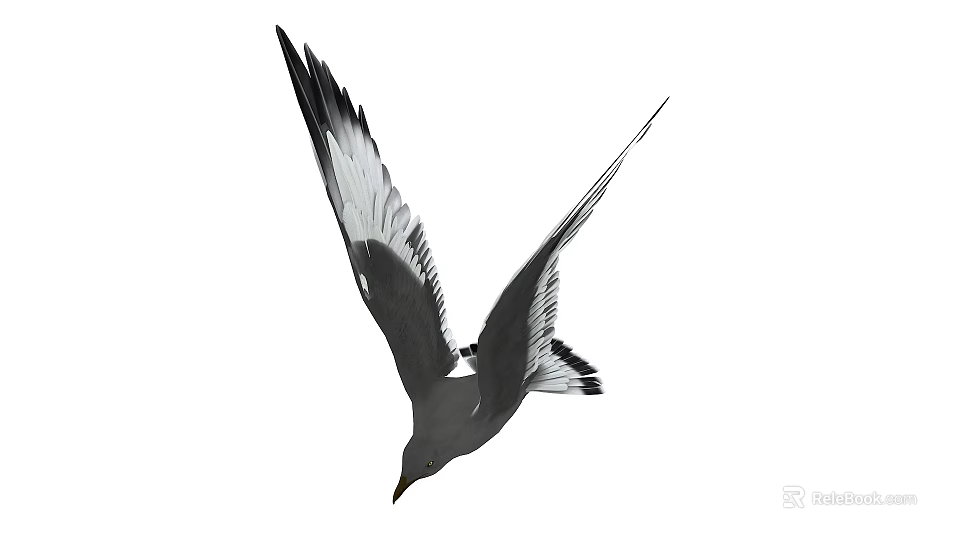 Graceful Seagull Flying With Spread Wings In The Air Mid Flight 3d model 