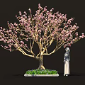 Elegant Bonsai Tree With Pink Flowers Green Grass And Purple Small Flowers