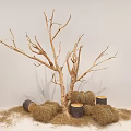 Trunk hay stump straw display plant 3d model