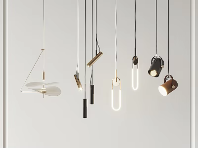 Modern Pendant Lights With Various Geometric Shapes And Metal Frames For Interior Decoration 3d model