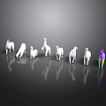 Group Of White And Colorful Llamas With Reflections On Dark Background
