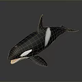 Black And White Orca Aquatic Animal With Open Mouth And Swimming Posture