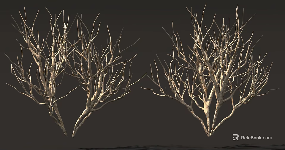 Bare Trees With Dry Branches Against Dark Background In Winter Scene 3d model 