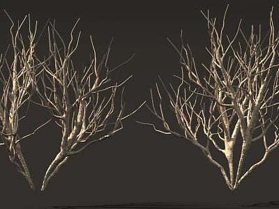 Bare Trees With Dry Branches Against Dark Background In Winter Scene 3d model