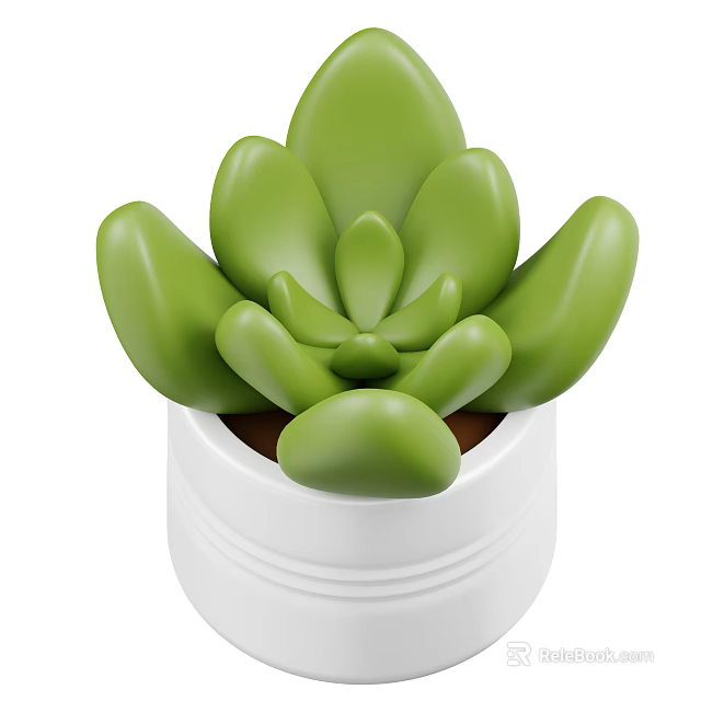 Decorative Potted Green Succulent Plant With Plump Leaves In White Ceramic Pot 3d model 