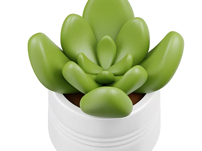 Decorative Potted Green Succulent Plant With Plump Leaves In White Ceramic Pot 3d model