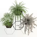 Indoor Potted Plants With Fern Palm And Metal White Stands For Home Decor
