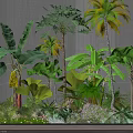Lush Tropical Green Plants Collection With Banana Leaves Palm Trees And Ferns