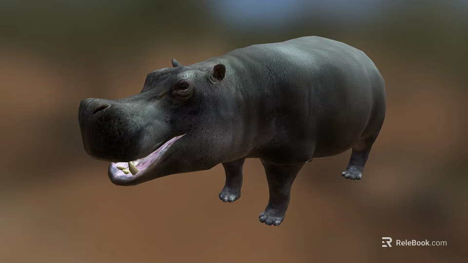 Realistic 3D Hippo Model With Open Mouth And Gray Body Features 3d model 