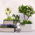 Wooden and White Flower Pots with Lavender Green Plants and Small Trees Interior