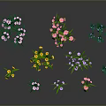 Diverse Plant Collection With Colorful Flowers Different Shapes And Green Leaves