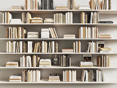 Well Organized Bookshelves With Various Books Magazines And Stacked Volumes On Multiple Shelves 3d model