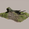 Stone and Wood Moss Covered Tree Stump with Twigs in Natural Setting