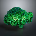 Vibrant Fresh Green Broccoli Florets Close Up View Isolated On Dark Background