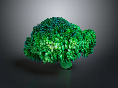 Vibrant Fresh Green Broccoli Florets Close Up View Isolated On Dark Background 3d model