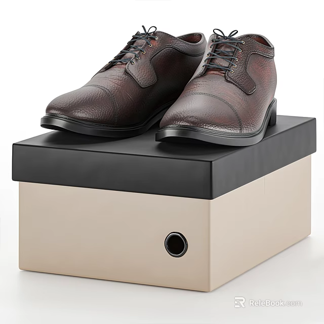 Brown Leather Formal Shoes Showcased on Black and Beige Storage Box 3d model 