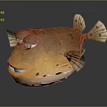 Orange Cartoon Puffer Fish With Big Eyes Spotted Fins And Funny Look