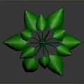 Lush Green Leafy Plant With Vibrant Fresh Leaves And Glossy Foliage