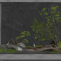 Indoor Landscape Design With Dark Rock Wall Green Plants Log And Round Light Fixtures