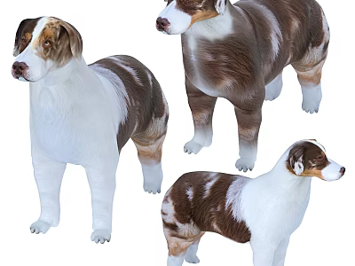 Three Brown and White Reptiles Showcasing Various Poses and Natural Features 3d model