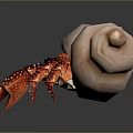 Hermit Crab Carrying Pink Spiral Shell With Red Legs And White Spots
