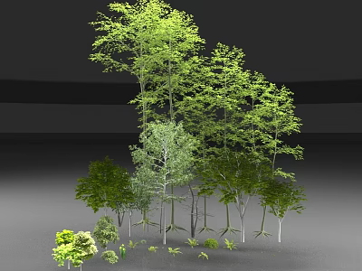 Diverse Tall Green Trees With Lush Foliage Varied Heights And Straight Trunks 3d model