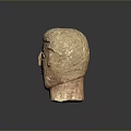 Medical Device Anatomical Human Head Wooden Model For Educational Training