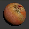 Commercial Food Processing Equipment For Fresh Onion Handling And Preparation