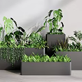 Indoor Decorative Flower Planters with Various Green Plants Square Gray Design for Home Interior