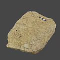 Ancient Fossil Specimen With Textured Brownish Yellow Surface And Black Squares
