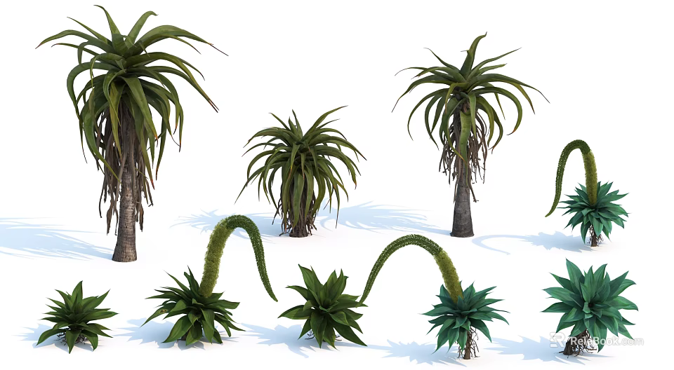 Aloe Shrubs In Various Sizes With Green Leaves Curved Stems And Natural Shadows 3d model 
