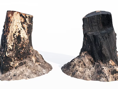 Pair of Rustic Wooden Stumps With Natural Stone Base And Textured Surface 3d model