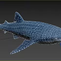 Whale Shark Marine Animal With Blue Body And White Spots Swimming In Ocean