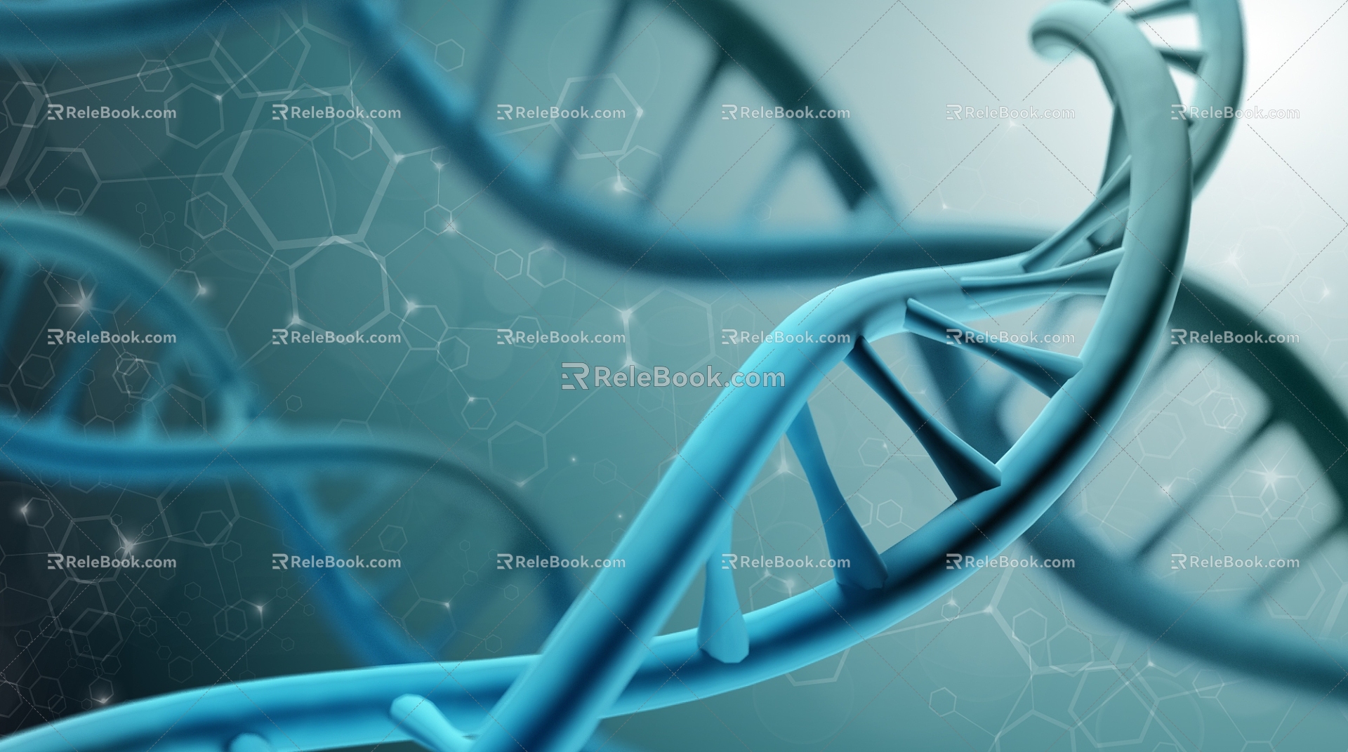 Modern DNA Gene Helix Structure 3d model