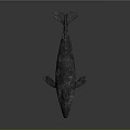 Detailed 3D Whale Model with Red and White Spots on Its Body Against Dark Background