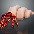 Hermit Crab Carrying Pink Spiral Shell With Red Legs And White Spots