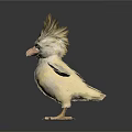 Two White Chicks With Red And Yellow Crests Spread Wings Standing On White Background
