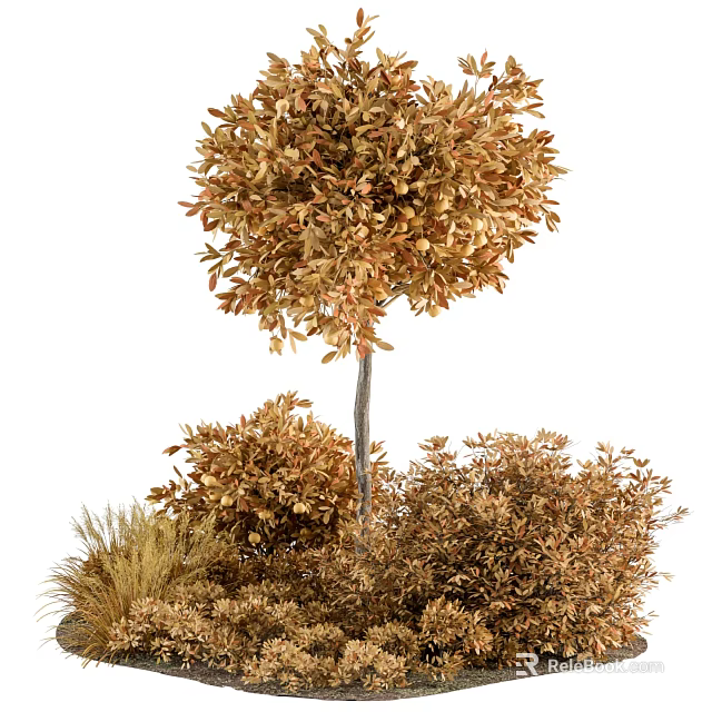 Plant Combination with Various Shrubs Small Trees and Golden Grasses 3d model