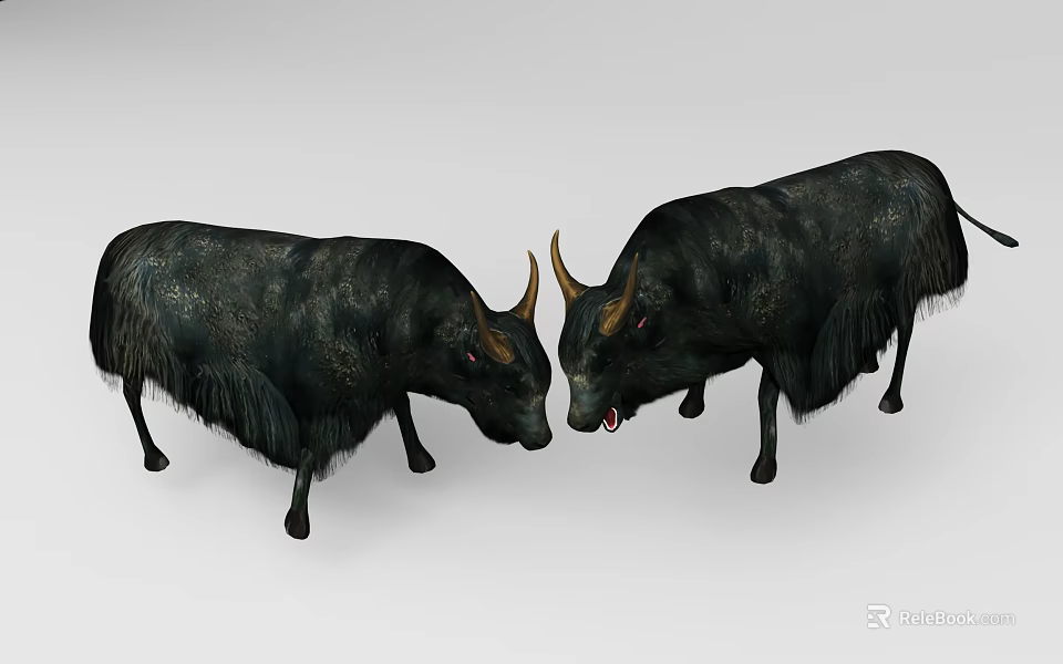 Two Black Yaks Facing Each Other With Curved Horns And Thick Fur 3d model 
