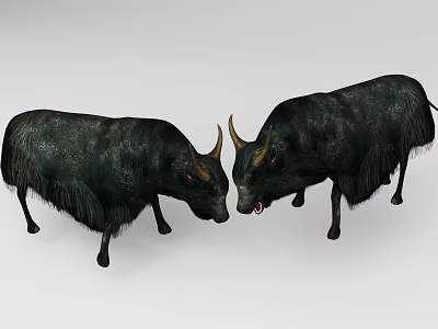 Two Black Yaks Facing Each Other With Curved Horns And Thick Fur 3d model