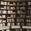 Curved Bookcase Books 3d model