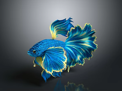 Vibrant Blue And Yellow Betta Fish With Flowy Fins And Gorgeous Appearance 3d model