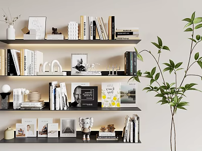 Modern Interior Shelving Unit with Books Decorative Items Photos and Green Plant 3d model