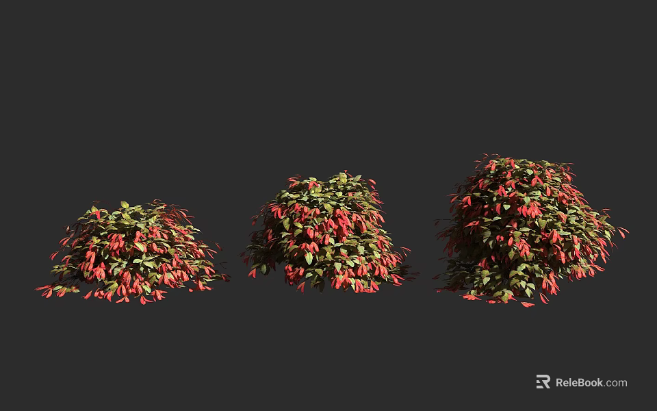 Three Lush Shrubs With Green And Red Leaves In Natural Landscape 3d model 