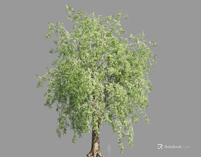 Beautiful Weeping Willow Tree with Green Hanging Branches and Lush Foliage 3d model 