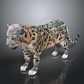 Realistic 3D Snow Leopard Cub With Spotted Fur Standing On Reflective Surface 3d model
