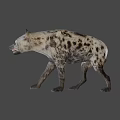 Realistic Spotted Hyena 3D Model With Open Mouth Walking Pose 3d model